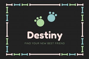 Destiny