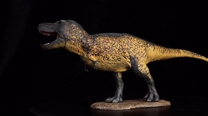 Eofauna 1:35 Scale Tyrannosaurus SUE Model Dinosaur Animal Figure Collection Decor Gift for Adult