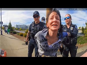 Simple Traffic Stop Goes From Calm to Chaos in Seconds