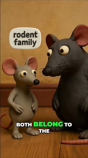 Mouse vs Rat | Are They the Same? Fun Science Facts for Kids
