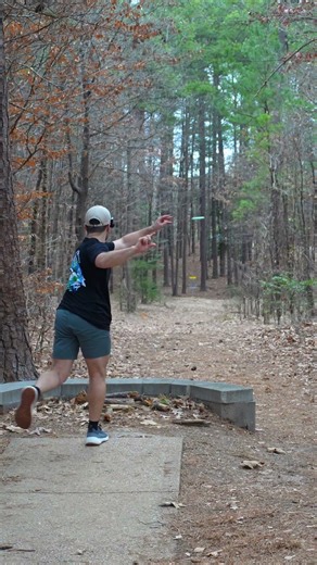 The Best Type of Hole in Disc Golf