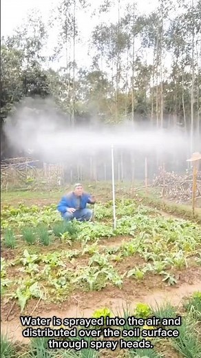 DIY Sprinkler Irrigation System Installation