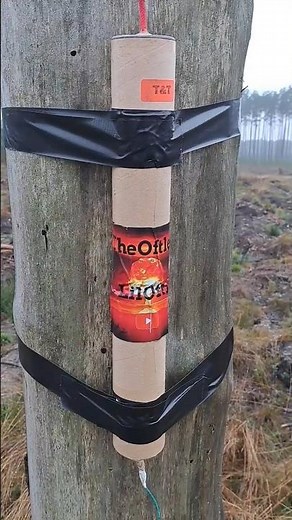 DUM BUM XXXL FIRECRACKER #polenböller #firecracker #explosions