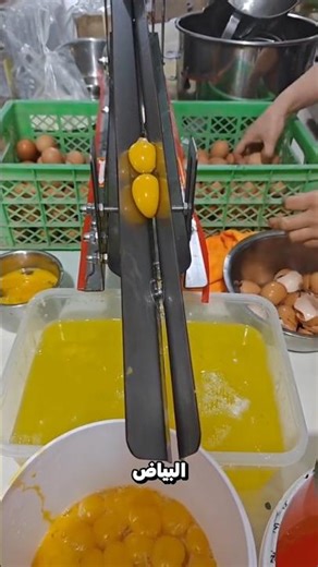 فصل صفار البيض عن البيض 😮؟!