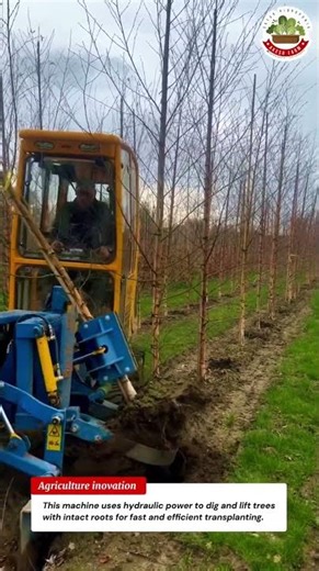 Tree Digger Machine 🌳 Lifts Trees with Roots in Seconds