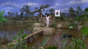 Five Element Ninjas (1982)