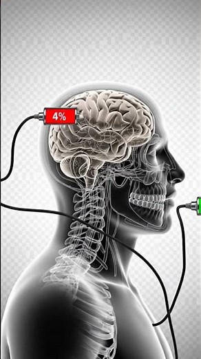 Brain Empty battery on mouth is full talking nonsense.