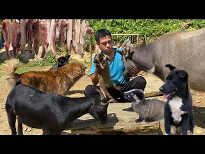 Vietnamese man smokes meat in the kitchen loft and cooks delicious dishes for his pets