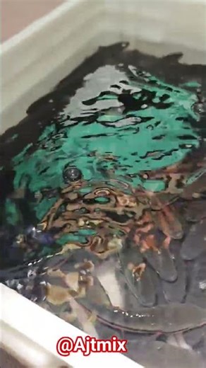 Red Line Catfish Feeding Frenzy 🐟🔥 | Rare Fish Collection #ajtmix #koifish #viralvideo