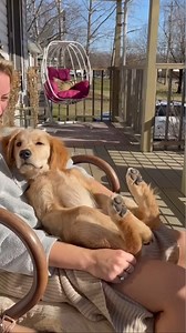 We are sunbathing. | Dog lover