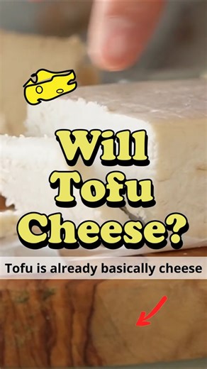 Adding bacteria to tofu & time? #WillitCheese?