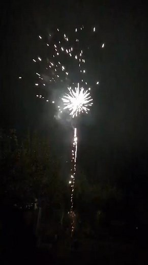 Roman Candle 161 shot Chrysanthemum bursts at Jordans Fireworks