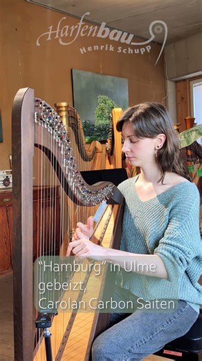 Harp "Hamburg" in stained elm, Carolan Carbon strings