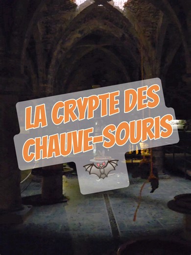 La Crypte aux Chauves-Souris : Un Joyau Caché