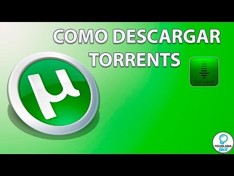 Como Descargar Torrents