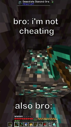 when bro gets caught cheating in minecraft...
