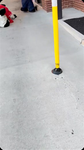 Even the Cow falls sometimes! No Cows were hurt in the making of this video… we promise. #Chickfila #mypleasure #TheCow | Chick-fil-A Whitman Square