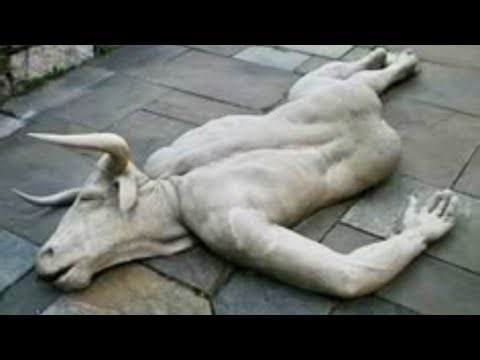 Shocking Creatures From Parallel Universes Captured on Video