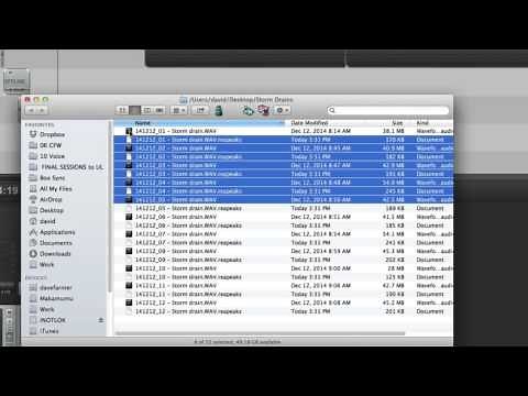 Reaper 004 - Storing .reapeak files