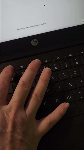 Mute Unmute Microphone on Chromebook