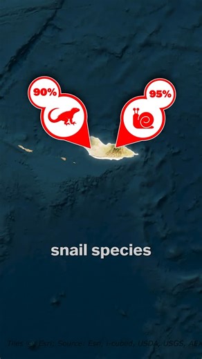 HGP on Instagram: "The most alien island in the world"