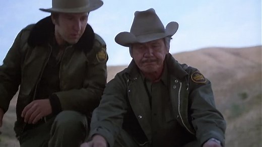 Borderline (1980) (1080p)🌻 80's Movies