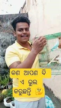 2026 NEW ଅପଡେଟ, IMPORTED NOTICE😲#youtubeshorts #ytshorts #shortvideo #GUDU PET WORLD