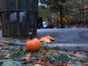 Sandy spooks East Coast Halloween