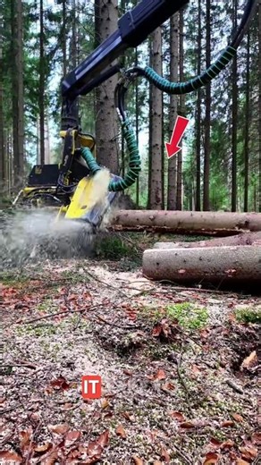Turning a Tree Into Logs in Seconds