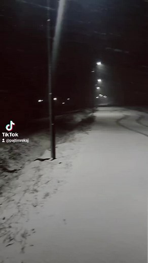 Winter Scenes: A Journey Through Snowy Landscapes