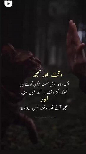 rizwanqureshii4 on TikTok