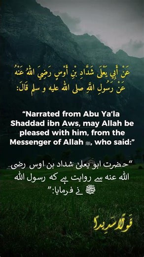 Hadith 17 | Excellence in Everything (Ihsan) 🌟📖 #IslamicWisdom