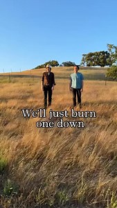 TOMORROW! Well, tonight at midnight. New song “Golden Grass” | The Brothers Comatose