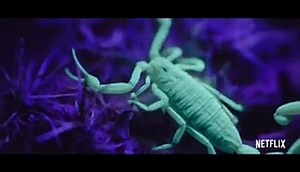 #AlienWorlds ((S1 x E1)) ''2020''