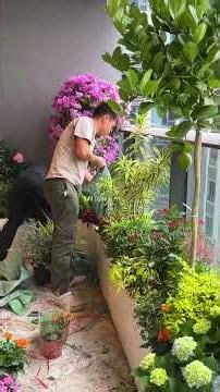 I embedded a garden in my blues balcony at home