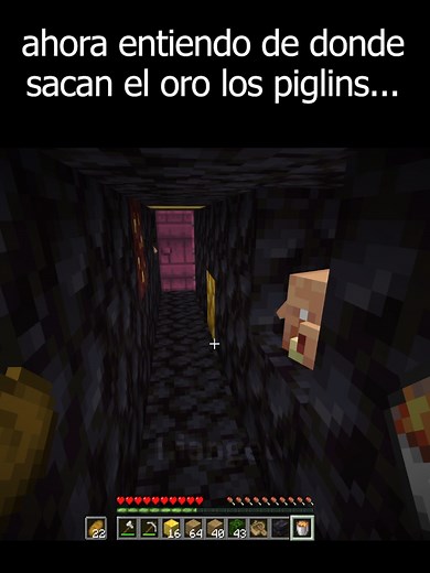 ahora entiendo de donde sacan el oro los piglins... #minecraft #minecraftmemes #minecraftbuilds #fyp