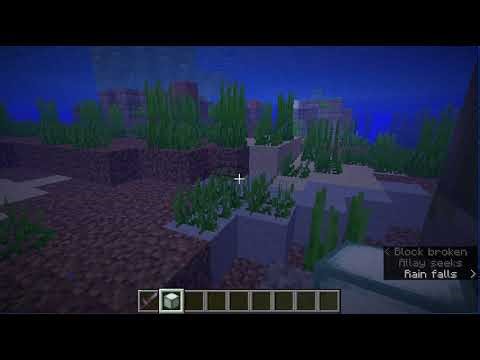 Minecraft in the Wilds3: pt29 Ocean ruins & treasure chests