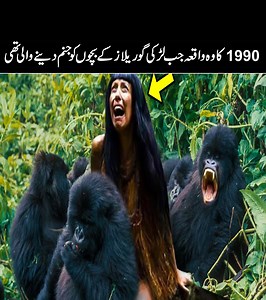 Gorilla Captured A woman In The Jungle #urducover #forest #jungle #gorilla | Urdu Cover
