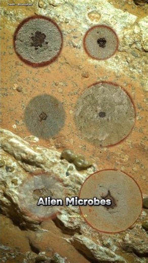 NASA Are Bringing That Mars Alien Sample Baek To Earth