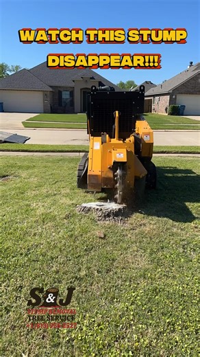 54 reactions · 3 comments | Want to see a stump removed live? ⬇️⬇️ Free quotes!✅ Stump Removal✅ Tree Removal✅ Tree Trimming✅ & more ✅ #treeservice #tampabay #Tampa #stumpgrinding #cranetreeremoval #treetrimming | S & J Stump Removal | Facebook