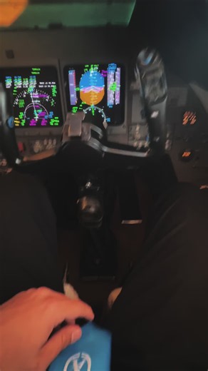 Flight Levels Private Jet Arrival: A Moment in Corporate Life