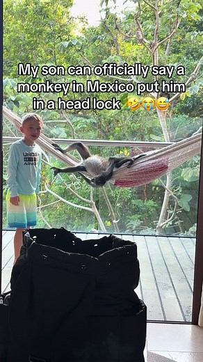 Monkey Headlock in Mexico: Funny Spring Break Story