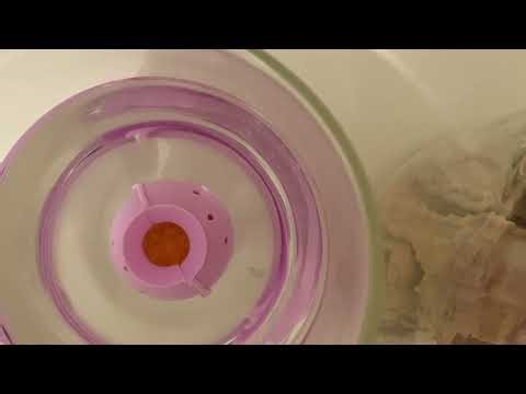 How to make Astrojumpball easy