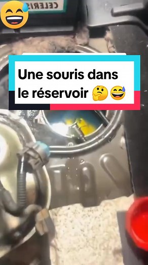 Mécanique Auto Facile sur TikTok