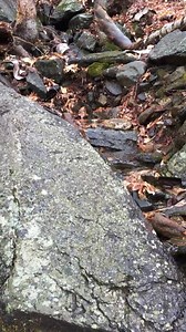 5.3K views · 300 reactions | Here's a bit of a "Monadnock Moment" coming down the Dublin Trail from Mt. Monadnock today. Love the sound of a babbling brook! | Monadnock Region - NH | Facebook
