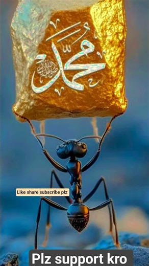 cute baby pic beautiful Islam#dua#wazifa#Zkrallha #yaRemanuyaRaheemBehaqeBismillahHirRehmanNirRaheem