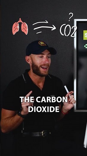 Finally Understand Capnography