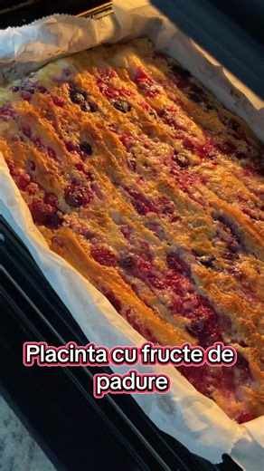 Placinta cu fructe de padure😋 | Gina Iuliana