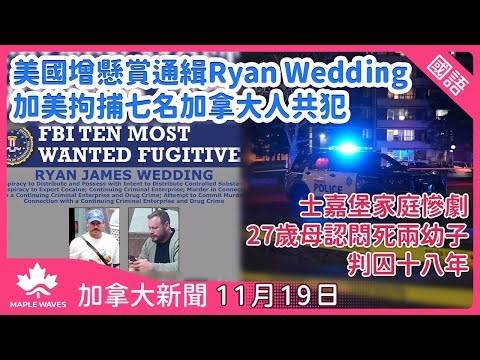 【加拿大新聞 11月19日 | 國語報導 | 繁簡字幕】加美拘捕七名加拿大人 美財政部制裁韋丁犯罪集團| 士嘉堡家庭慘劇 27歲母認悶死兩幼子判囚十八年|皇家騎警推網上新平台 方便市民舉報騙案