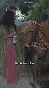 412K views · 10K reactions | Before a take, Amber gets to meet the trusty horse, Pumpkin. #Season6 | The Chosen | Facebook